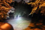 ZX- Professional LED Flashlight Kit